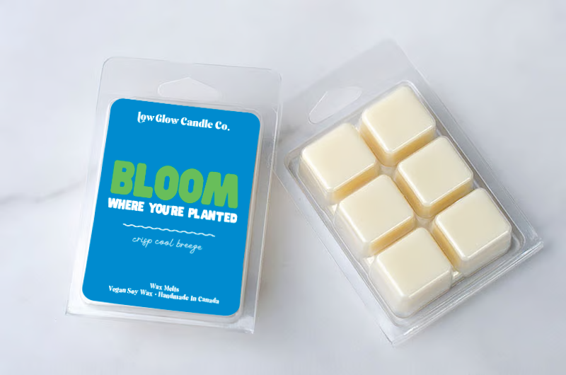 Bloom Where You Are Planted - Wax Melts